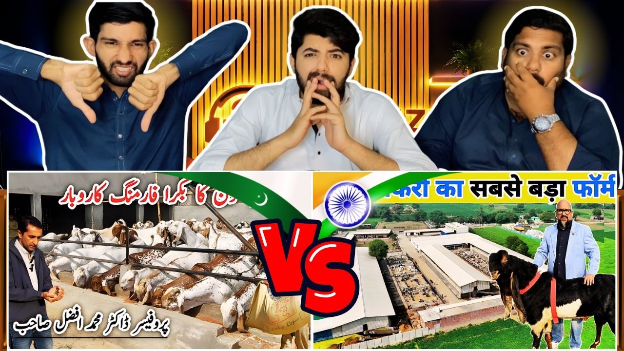Pakistani reaction on Pakistan vs India Goat Farming – Huge Difference Revealed!🔥