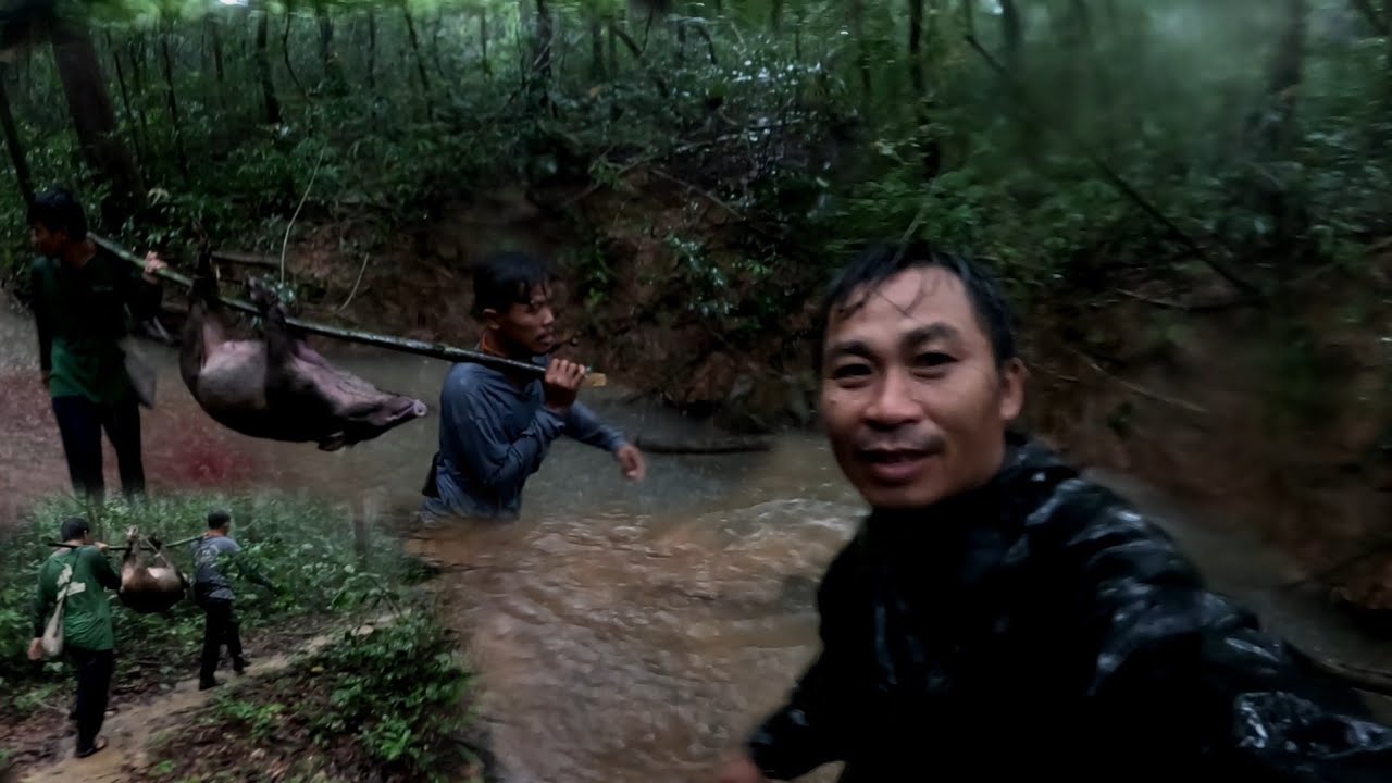 หมาตัวที่7อีกแล้ว