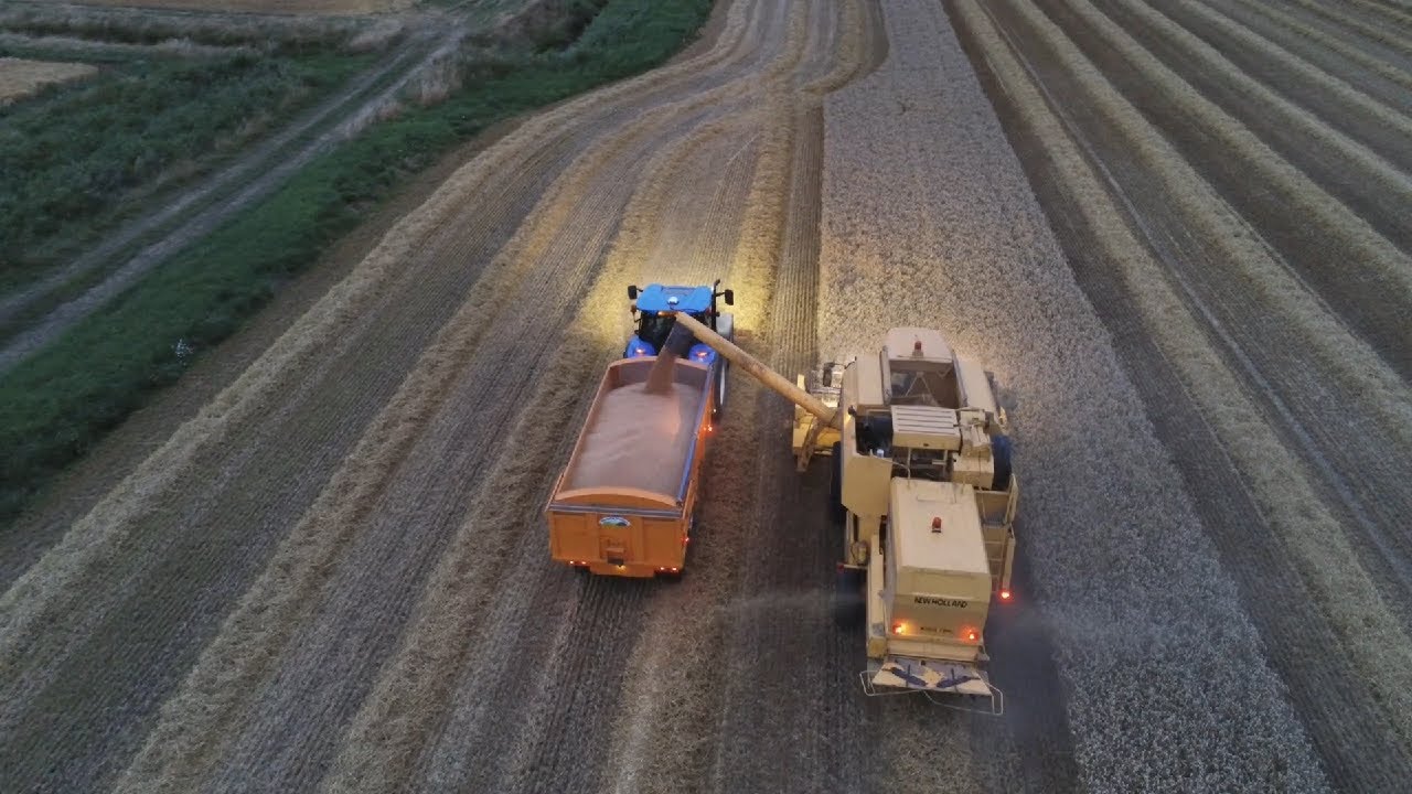 Harvest 2021 - Into the Wheat!