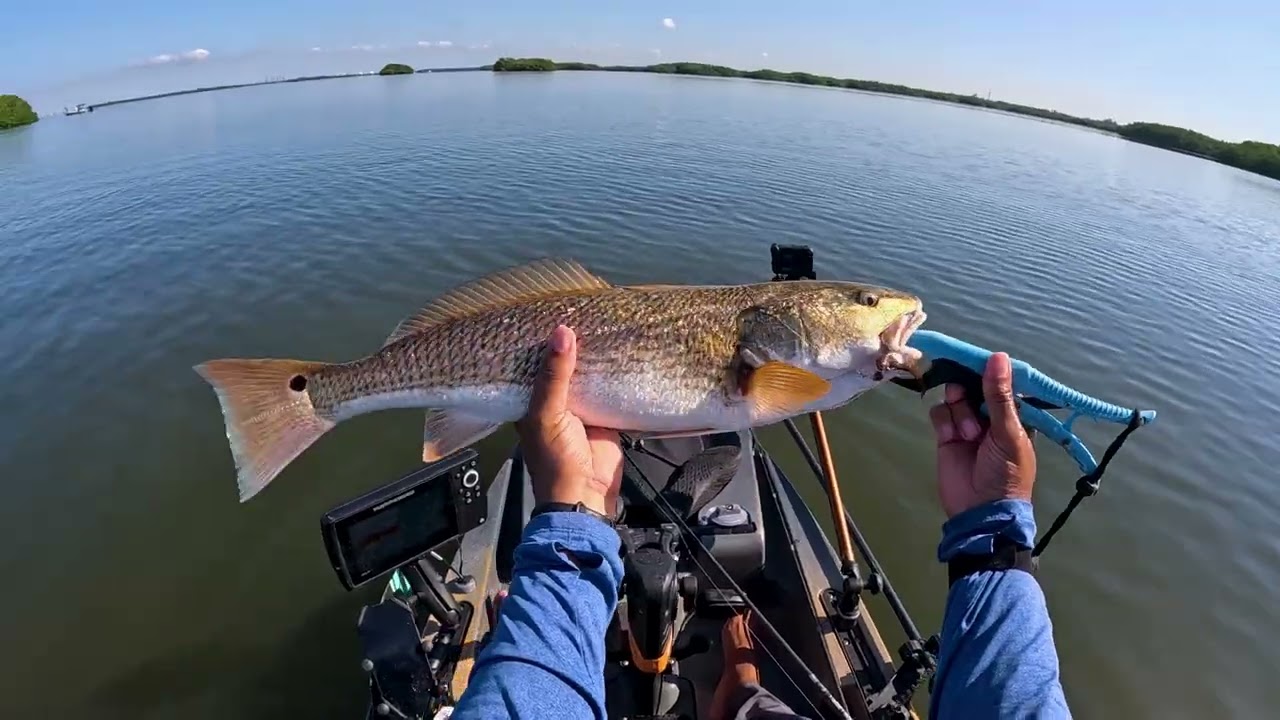 It Took Over 1000 Casts To Catch This Fish (Inshore Slam Kayak Fishing)