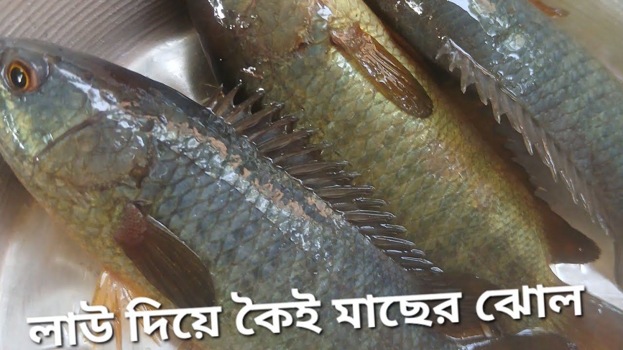 লাউ আর কৈমাছের ঝোল আর পালং শাকের ঘন্ট