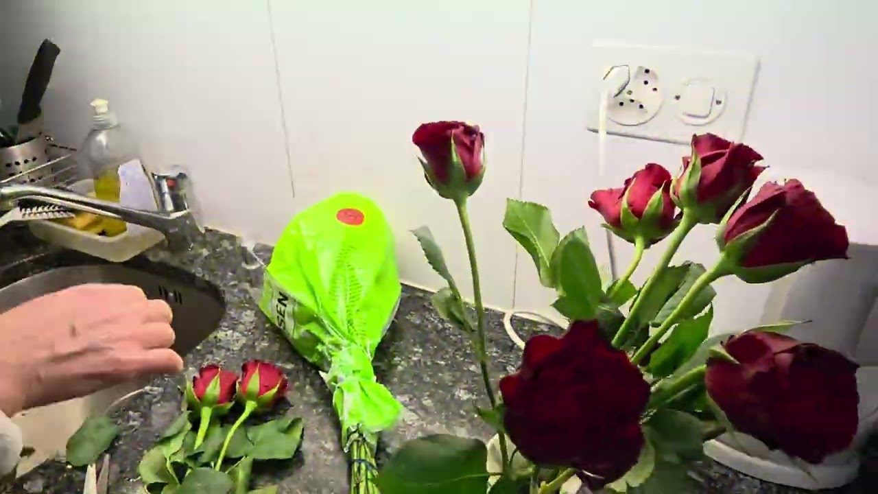 ​Швейцария расцветает 🌷 Покупаем море цветов и учим немецкий! Будни в Берне ✨