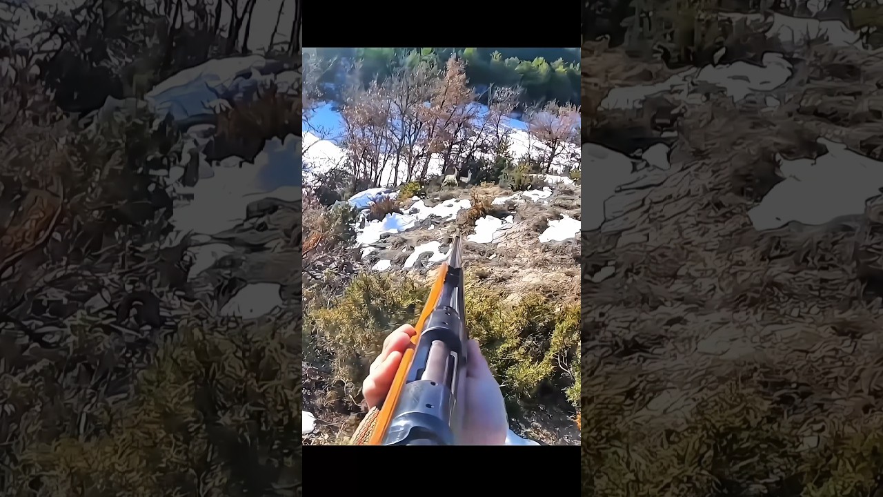double deer hunting fabulous shot of deer hunting #deer #hunting #chasse #caccia #moose #deerhunting