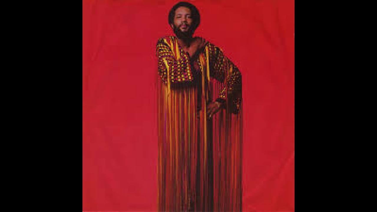 Roy Ayers  - ( Sunshine Sampled )