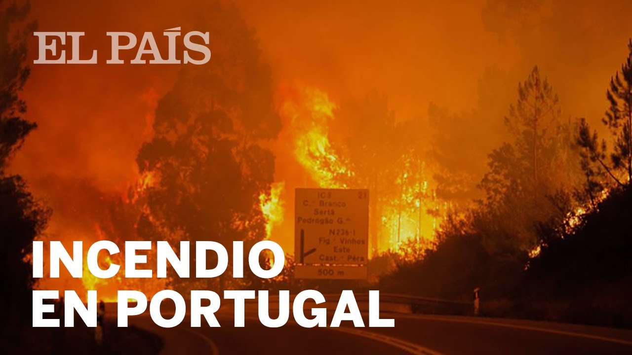 Al menos 58 muertos y 54 heridos en un incendio forestal en Portugal | Internacional