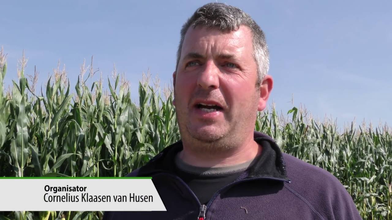 Historisches Maishäckseln in Hönnepel
