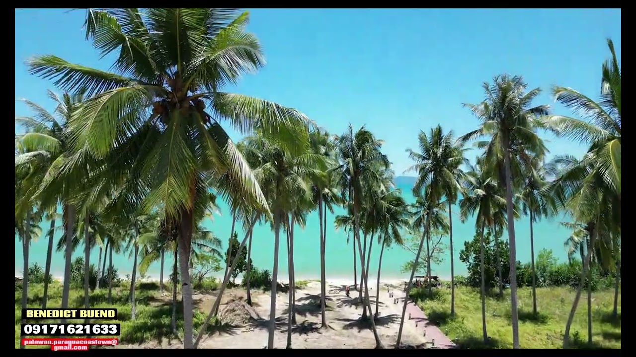 San Vicente Palawan - Paragua Coastown (Megaworld)