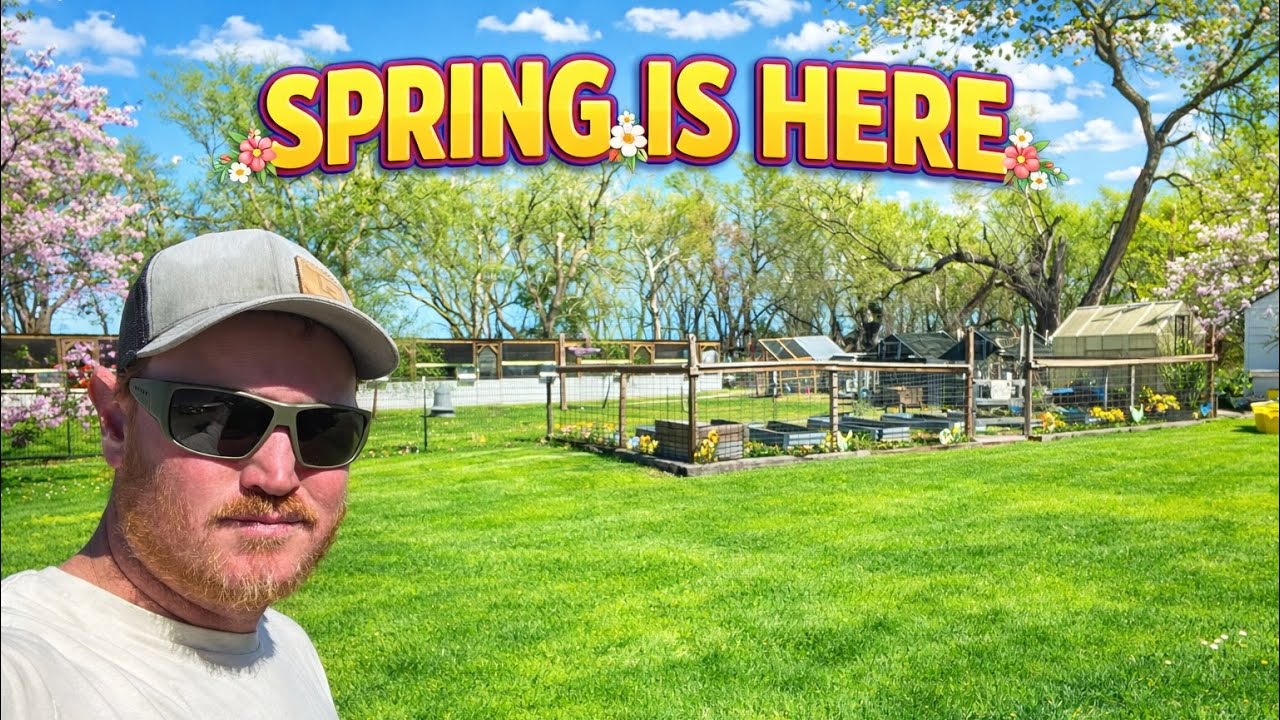 Its Time We Start Bouncing Back From Bird Flu!