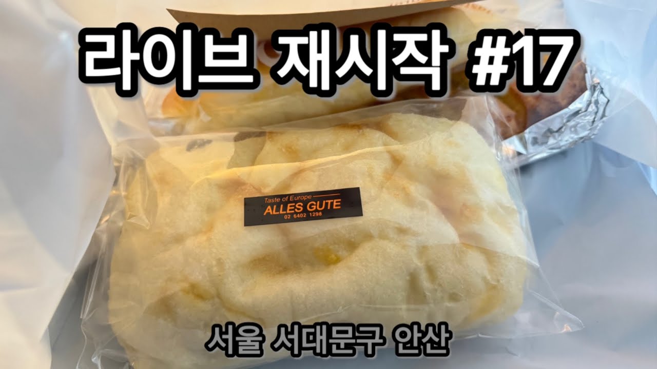 시청자 추천 빵집 발견 🥐 라이브 잠시 종료 후 다시 켰어요 | 개모차 산책 라이브