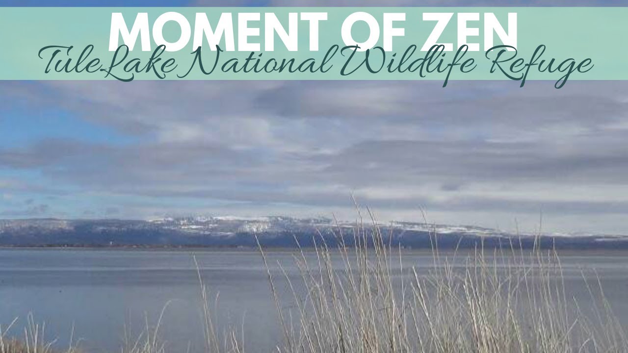 Moment of Zen &asymp; Tule Lake National Wildlife Refuge &asymp; Northern California Birding Hotspots