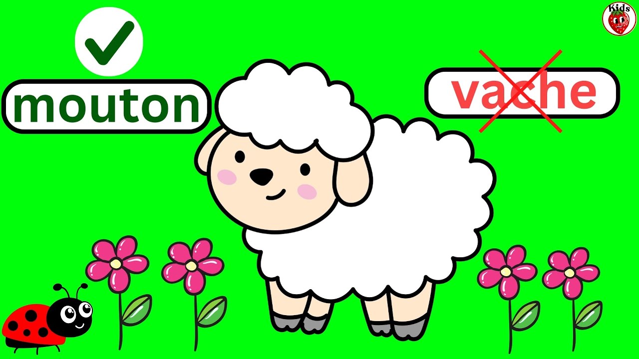 Easy French| Quiz | Apprendre le français | Learn French | Les animaux | French vocabulary