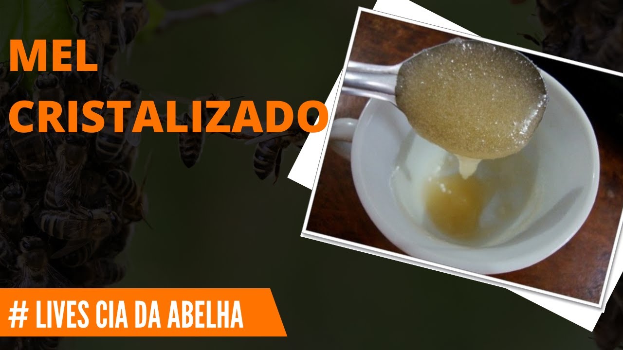MEU CRISTALIZADO! E AGORA? COMO CONSUMIR? COMO VENDER?