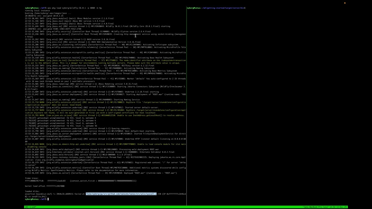 [Unikernel Application Spotlight] WildFly
