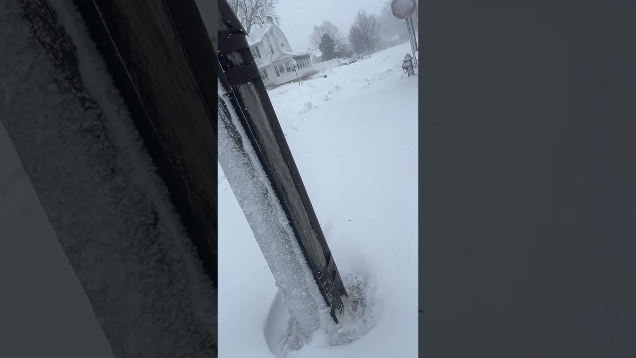 Estamos aterrados de nieve ❄️ 