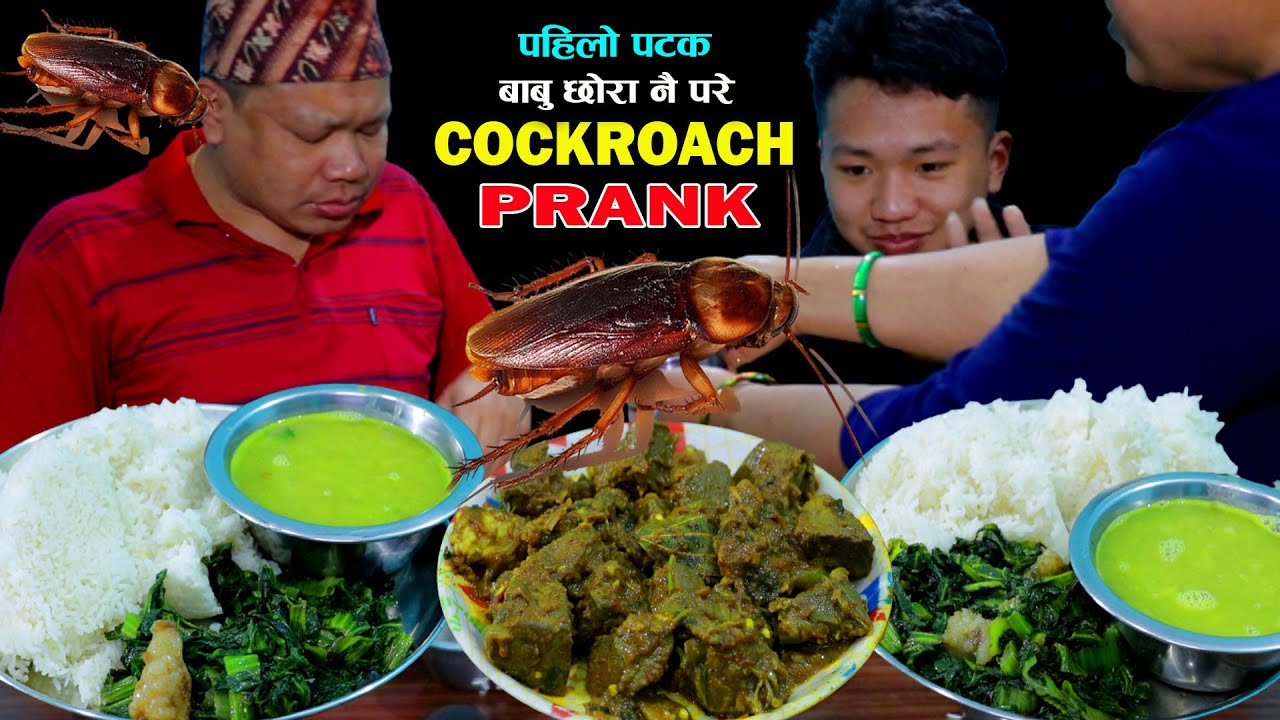 COCKROACH PRANK 🤣 WITH FATHER & SON @tham_thapa