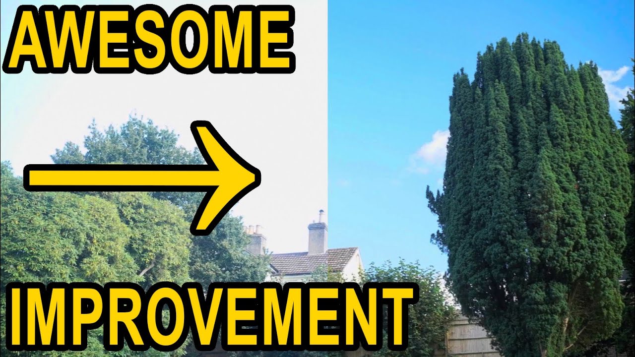 Better dynamic range with a lens filter? | More examples with the Hoya Fusion CPL