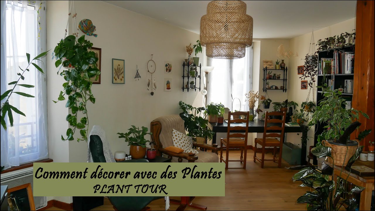 PLANT TOUR - Comment créer une ambiance grâce aux plantes