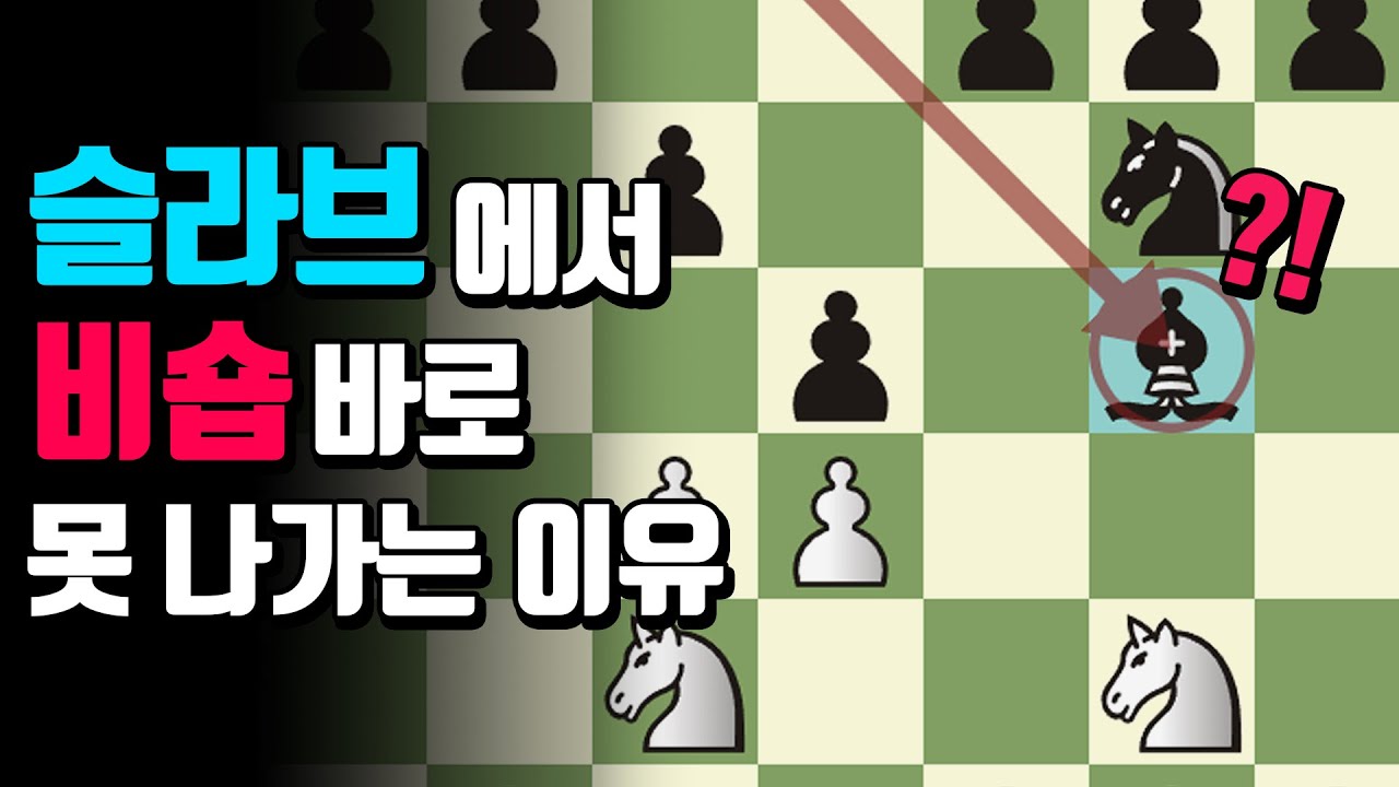 슬라브에서 비숍 바로 못 나가는 이유 / 체스 교훈적인 경기