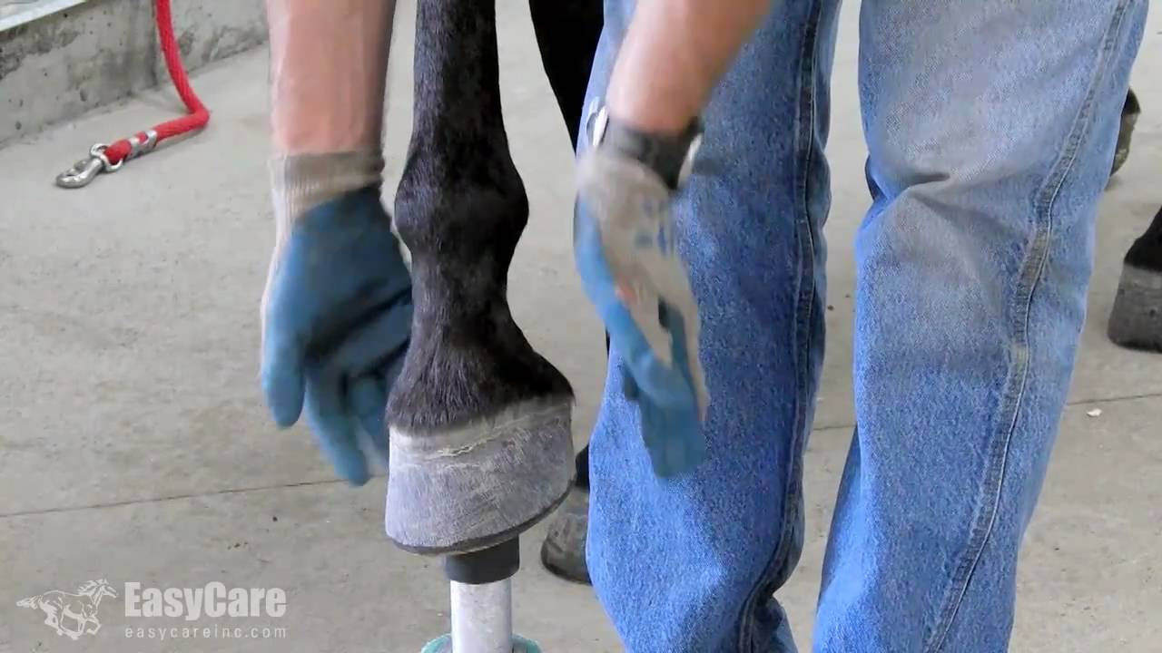 The Easyboot Glue-On Hoof Preparation Guide
