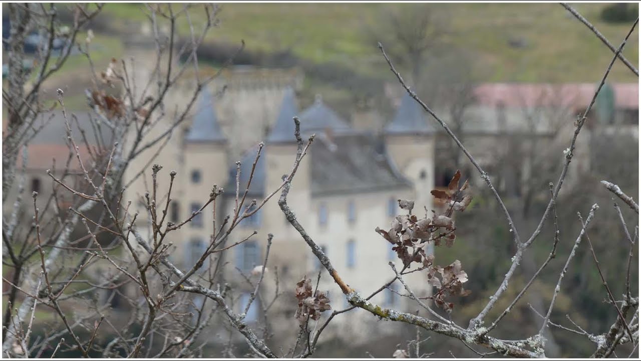 Balade dans les bois, châteaux de Léotoing et Torsiac