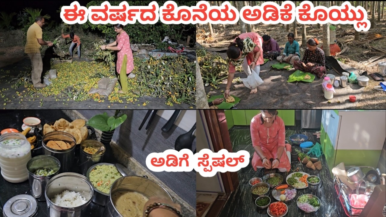ಮುಗೀತು ಈ ವರ್ಷದ ಅಡಿಕೆ ಕೊಯ್ಲು 🥲ಏನೆಲ್ಲ ಸ್ಪೆಷಲ್ ಅಡುಗೆ ಮಾಡಿದ್ದೆ ಕೆಲಸದವರಿಗೆ
