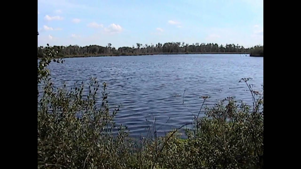 Mariapeel.wmv