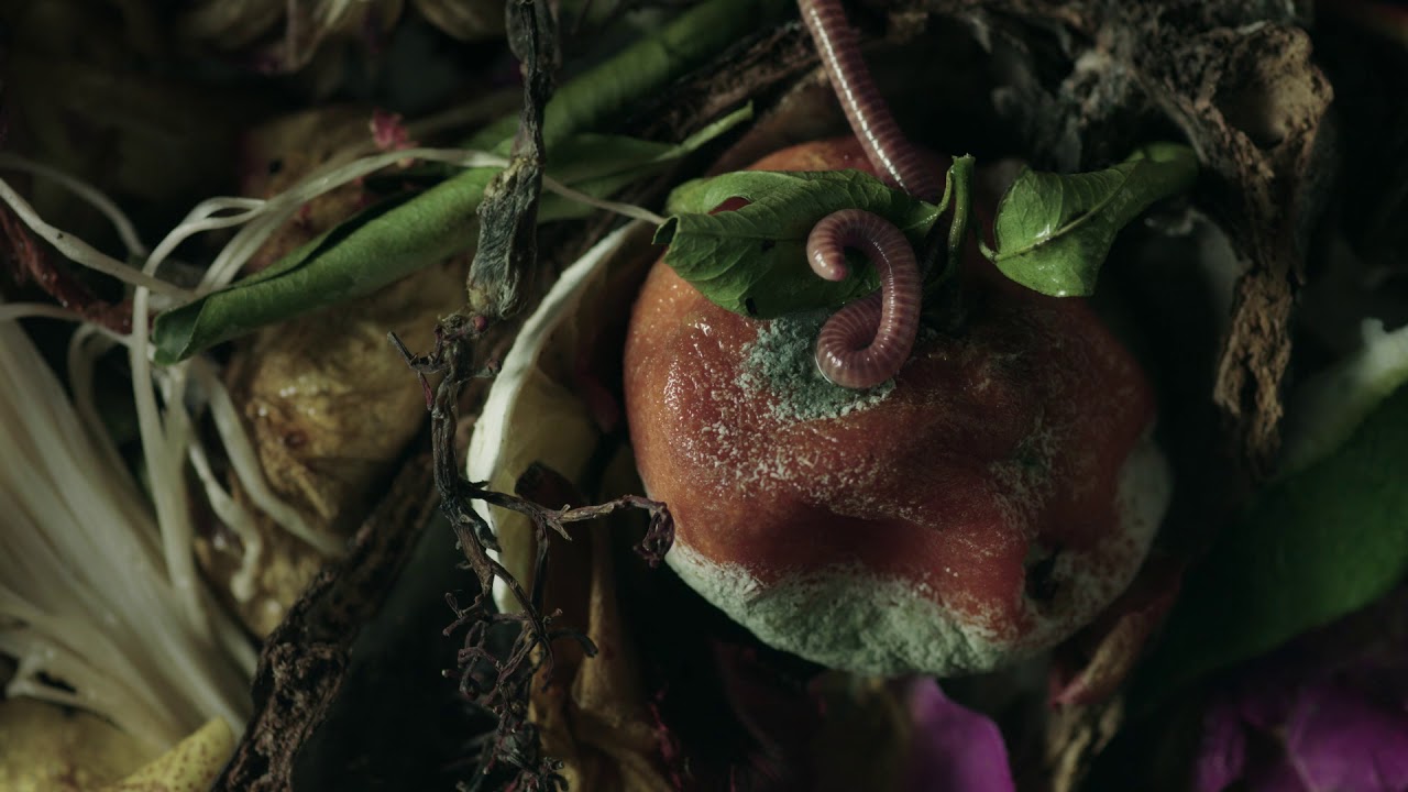 Ogilvy Paris x Etat Libre d&rsquo;Orange &ndash; I AM TRASH / Les Fleurs du D&eacute;chet