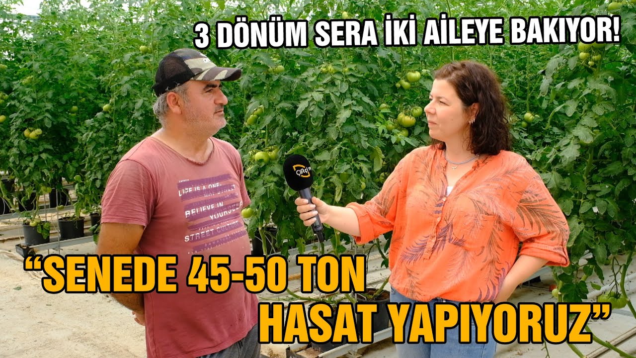 Jeotermal Su ile Isıtılan Seradayız! SENEDE 45-50 TON HASAT / "3 Dönüm Sera İki Aileye Bakıyor'"