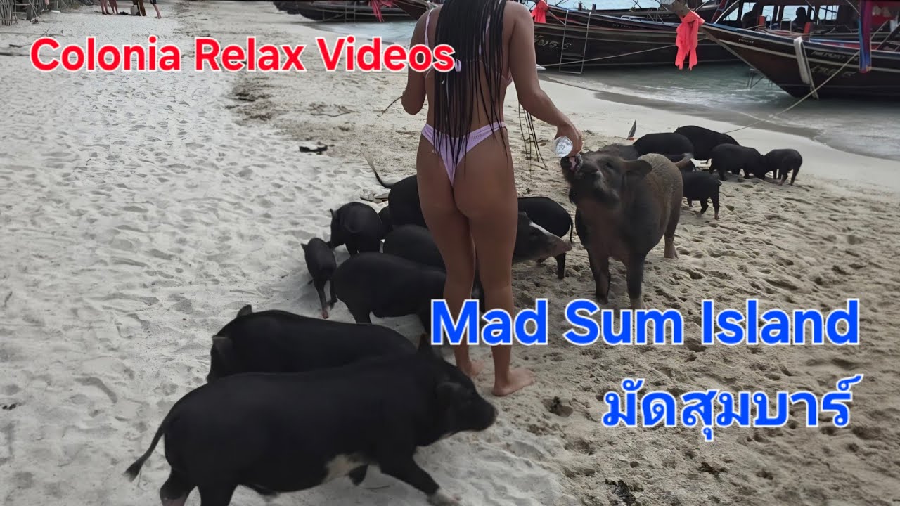 Trip nach Thailand Part 4 Ausflug nach Mad Sum Island มัดสุมบาร์  Wilde Schweine 🐖 