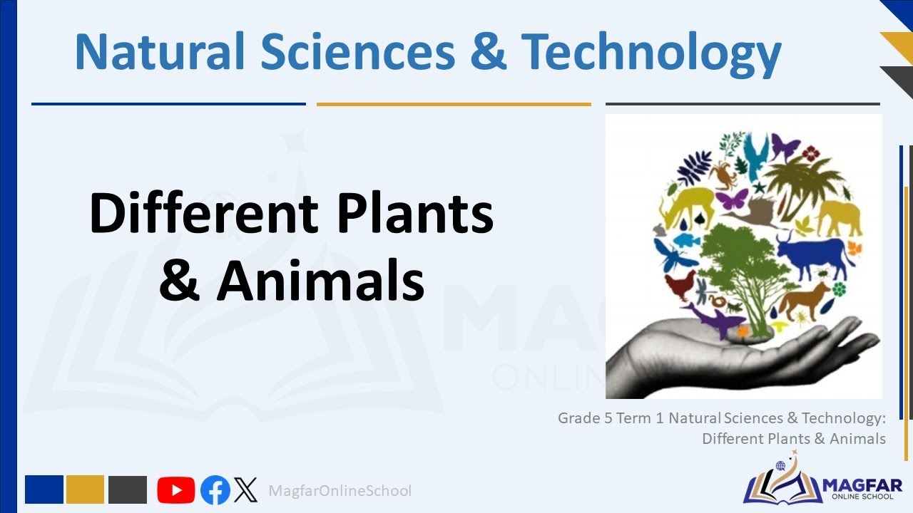Grade 5 Term 1 Natural Sciences & Technology: Different plants and animals.