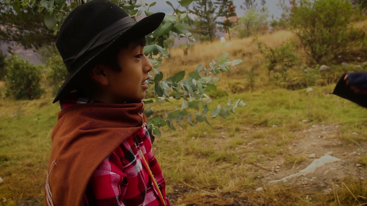 CHOLITO EN LOS ANDES MAGICOS  