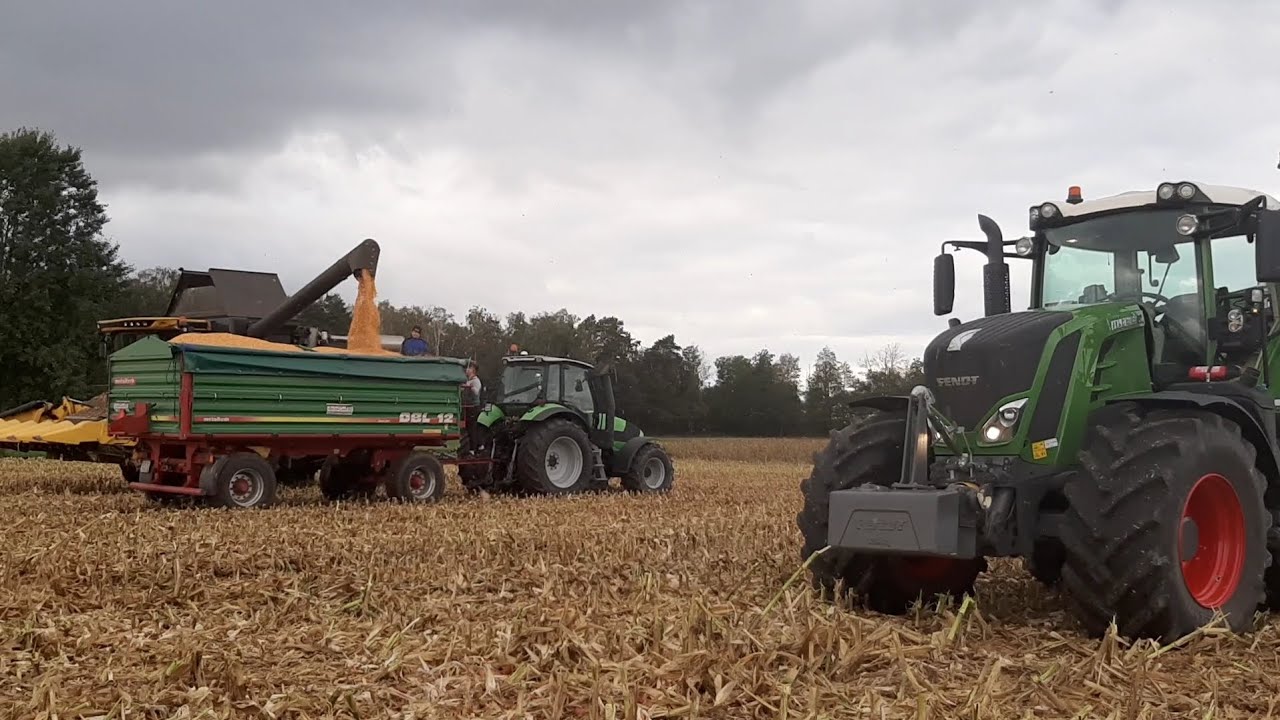 Koszenie Kukurydzy na ziarno 2023. deutz-fahr m 600 fendt 828 2x metaltech