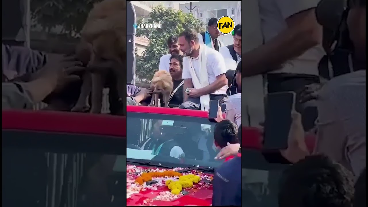 Rahul Gandhi's Biscuit Gesture Sparks Debate: Video Goes Viral