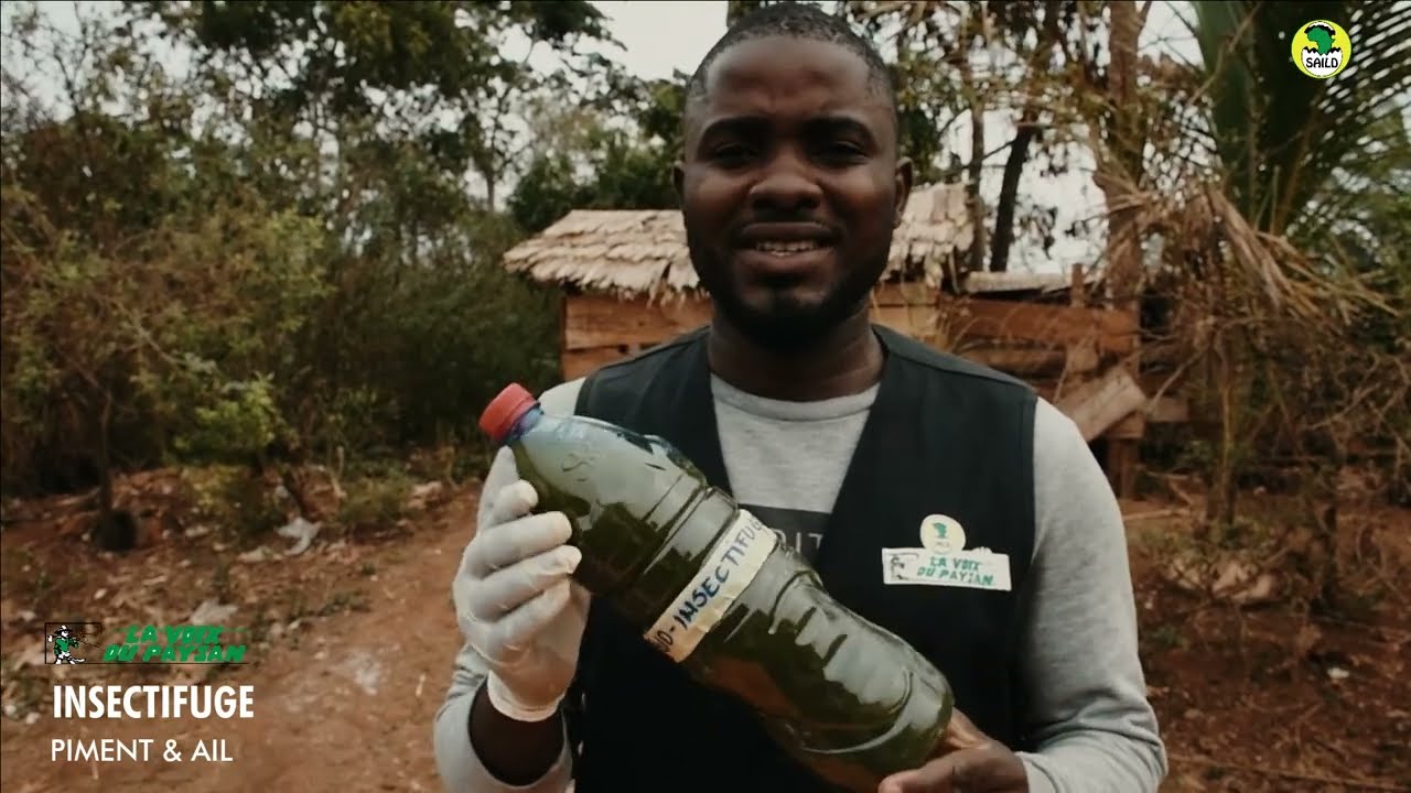 Comment fabriquer un Bio Insectifuge !