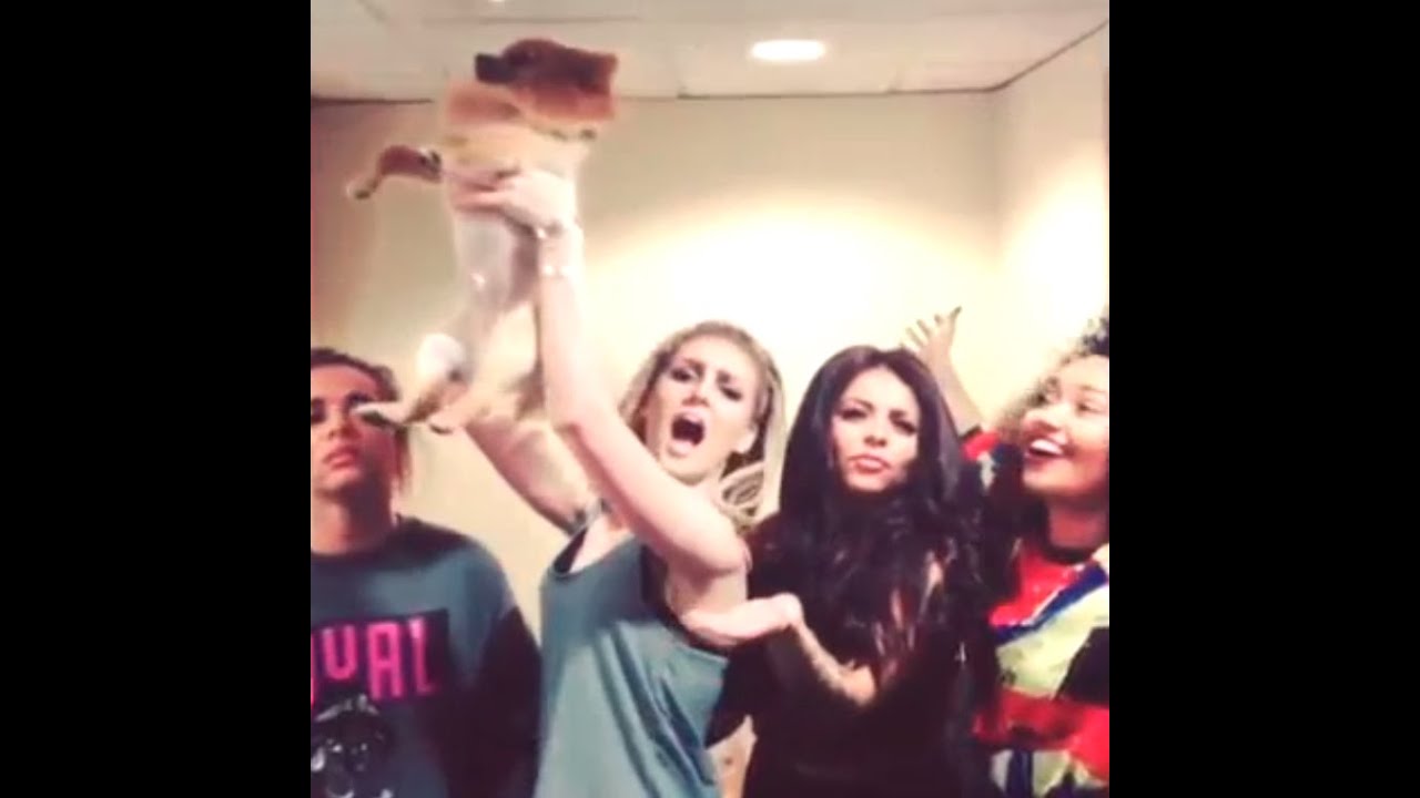 Little Mix - Funny Moments 2015 (#8)