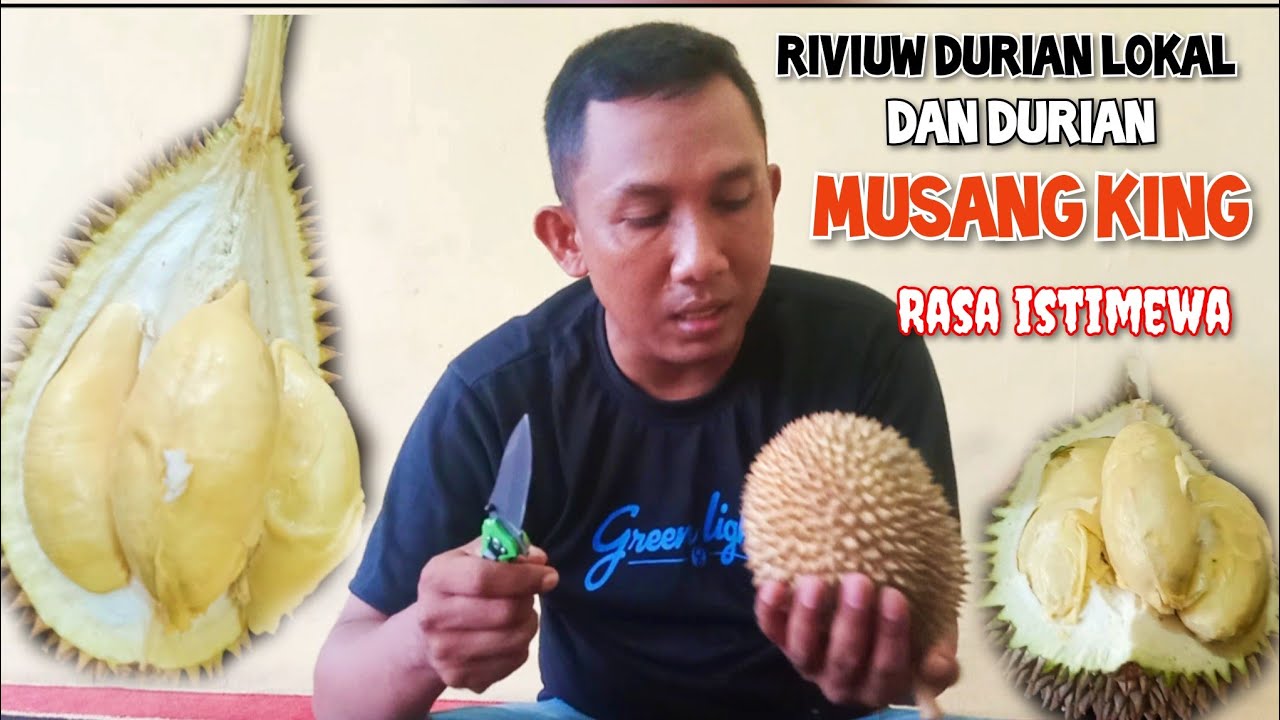 LIHAT BERBAGAI JENIS DURIAN LOKAL DAN DURIAN MUSANG KING DI RUMAH CAK MID KOLEKSI DURIAN PASREPAN