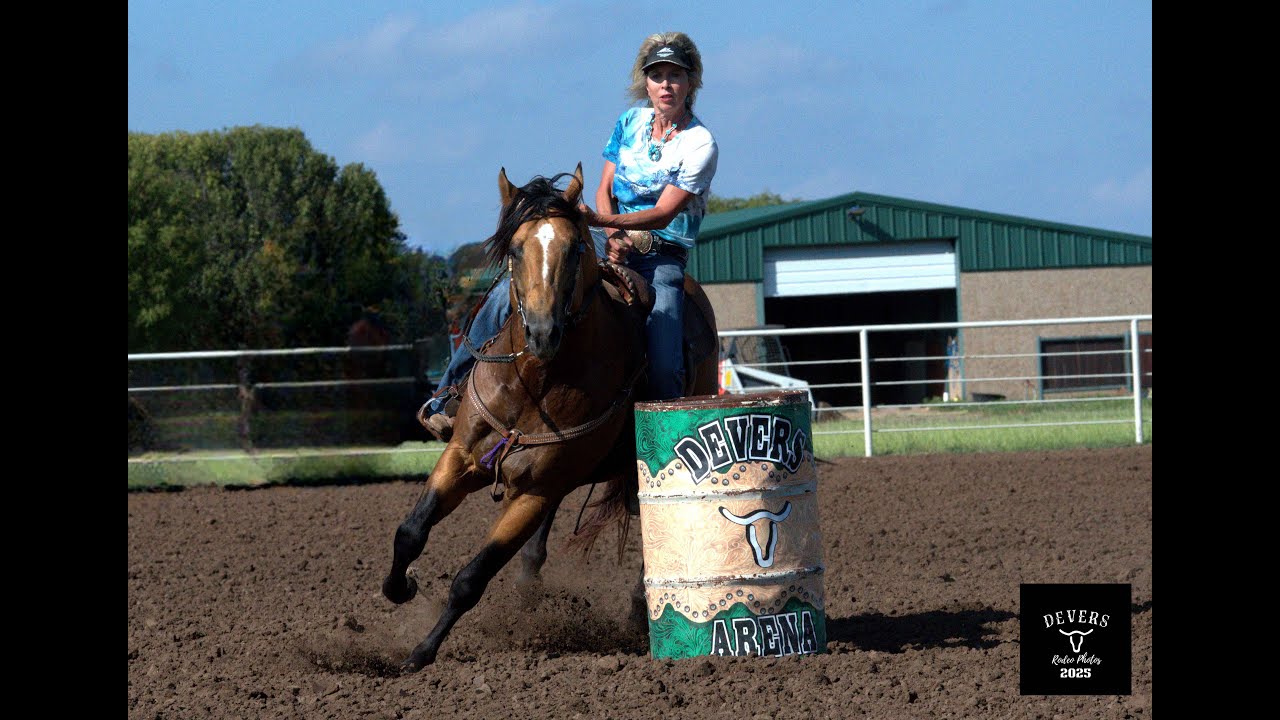 TRES SEIS 2021 Buckskin Stallion, Pink & Ruby GENTLE & EASY