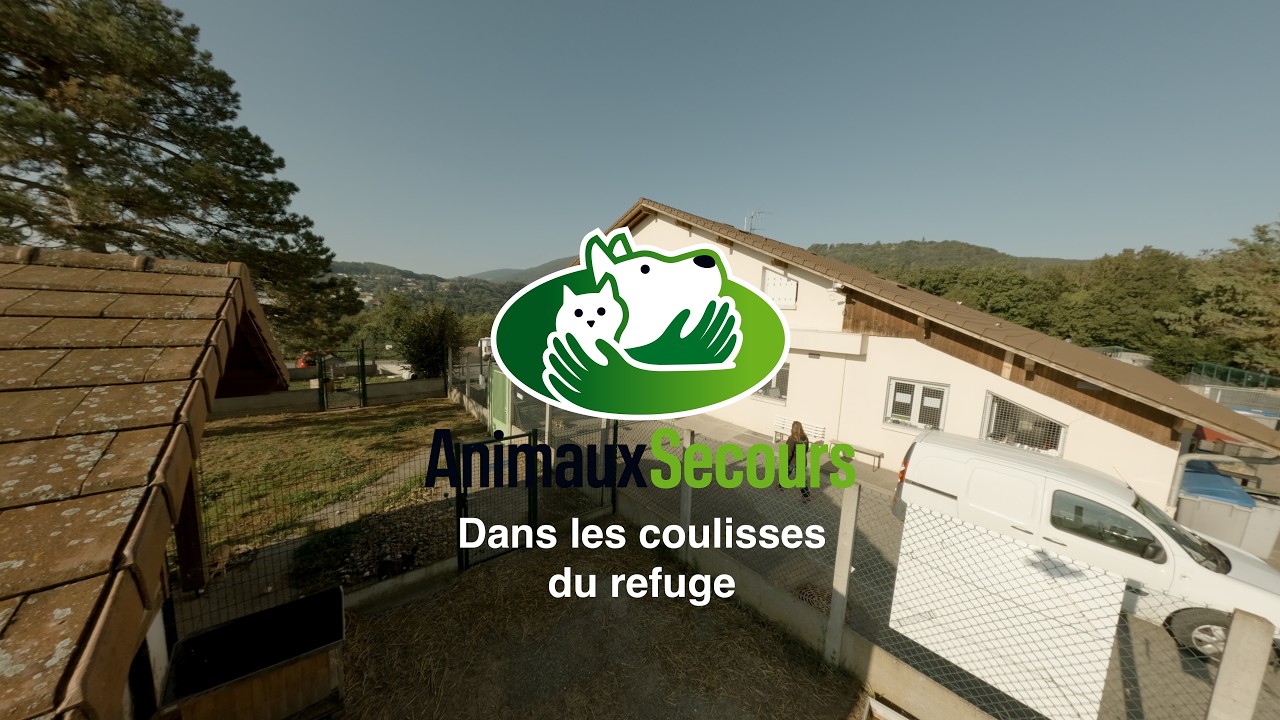 Au cœur du refuge Animaux Secours à Arthaz. Découverte en drone racer – Partie 1