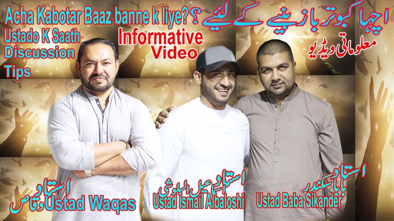 Ustad Baba Sikander|Ustad WaqaslAcha Kabotar baaz Banne k liye?|Discussion|Tips|Informative Video
