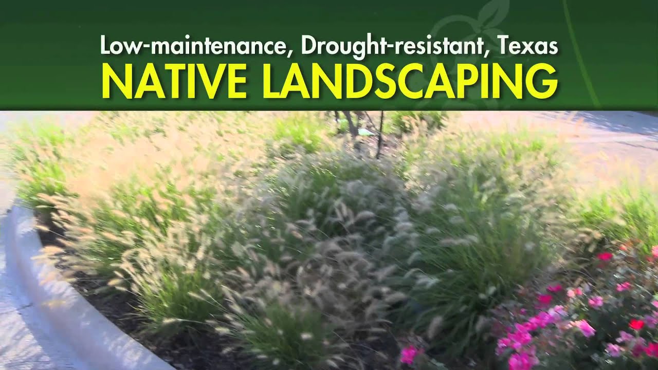 CEDAR HILL IS GROWING GREEN - Overview Video