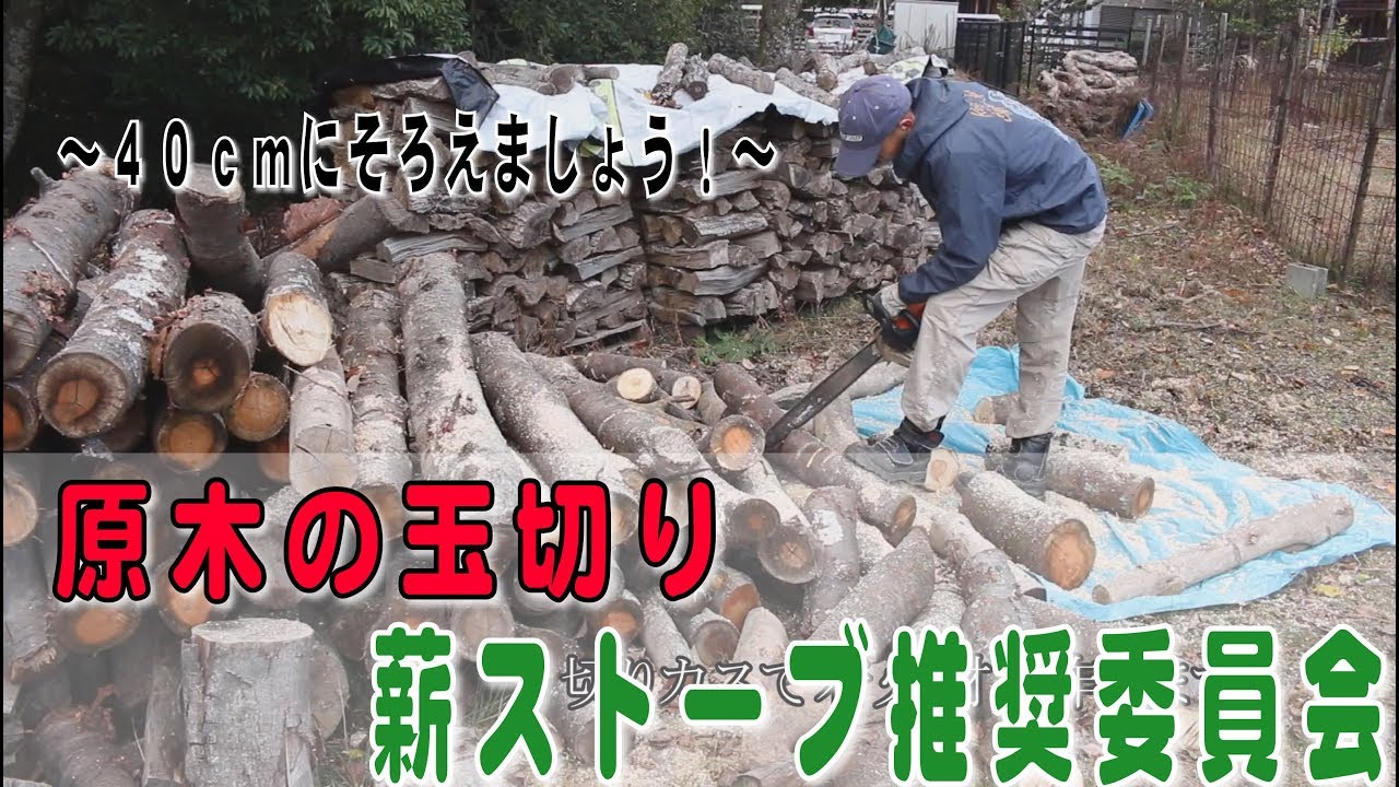 薪の作り方　原木を40cmに玉切りします