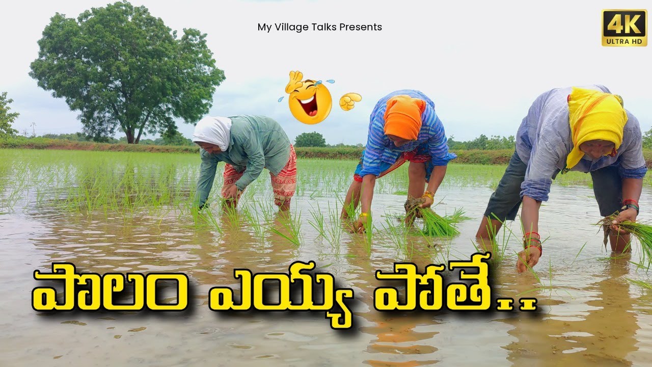 పొలం ఎయ్య పోతే..🌾🌾| 4K | Village Comedy | My Village Talks