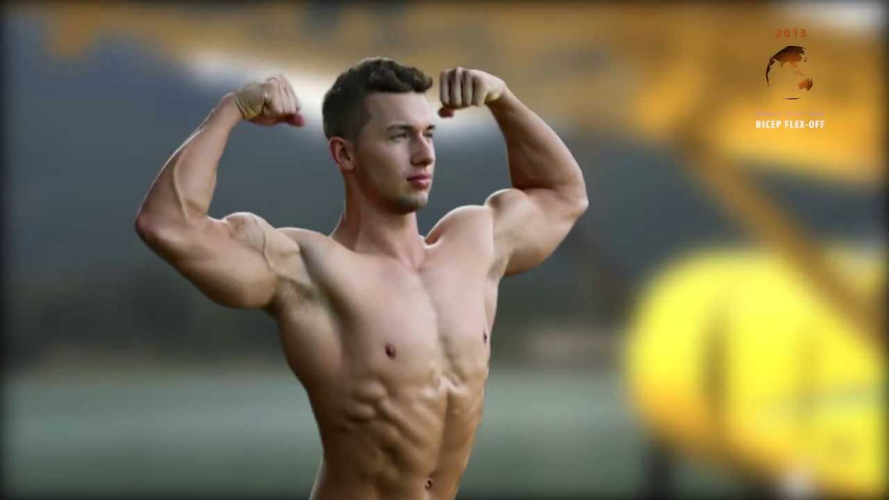 Web BICEPS flex-off 2013