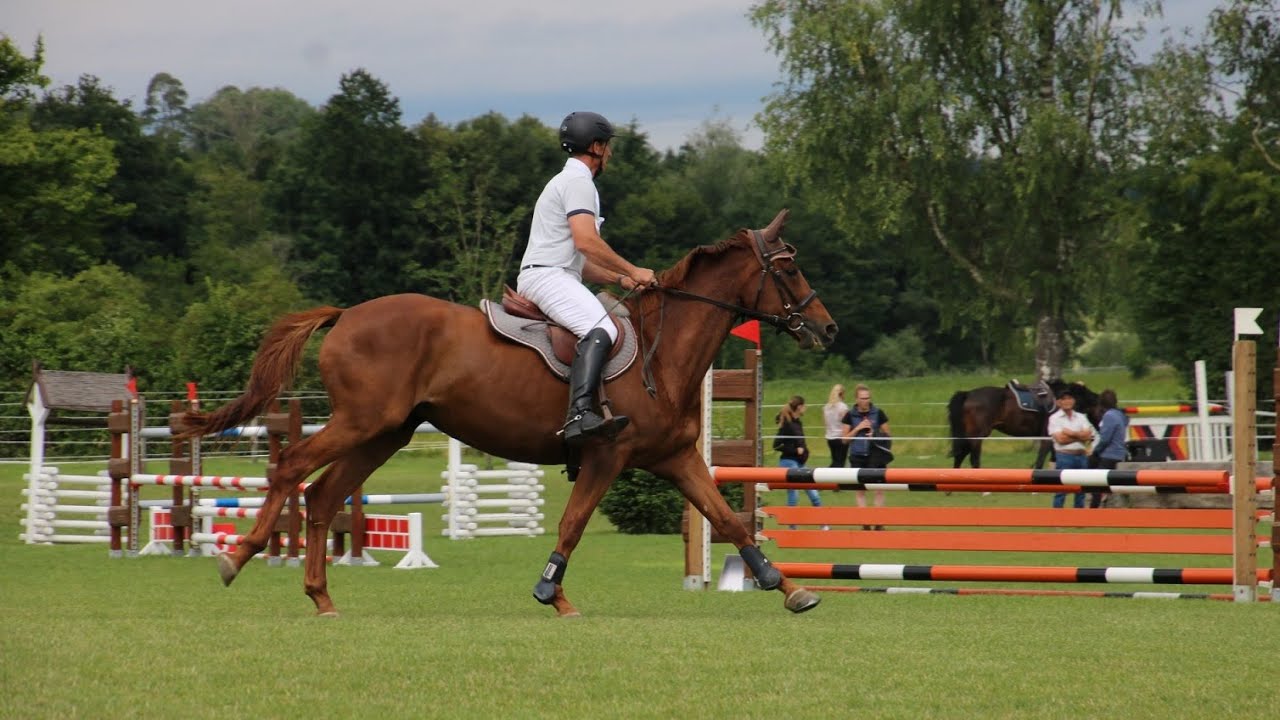 Barossa's erster Springparcours