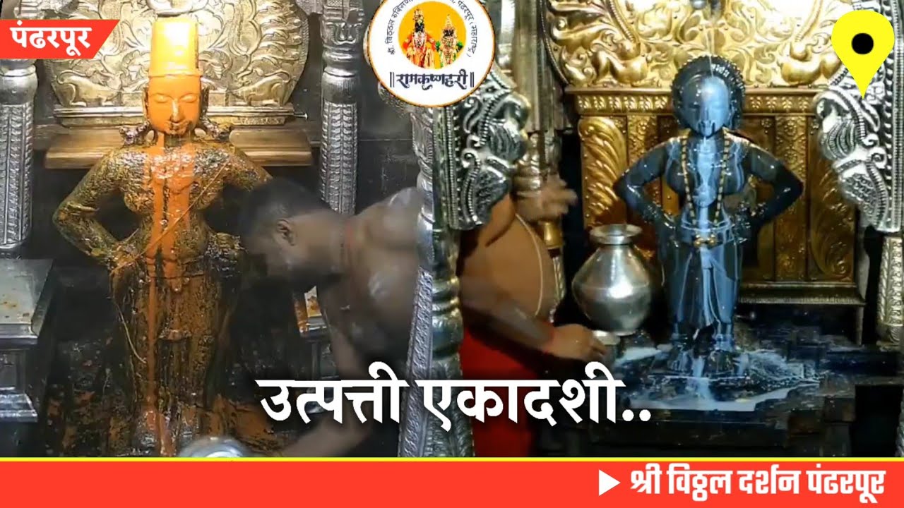 Pandharpur live darshan today || 15/11/2025 #livedarshan