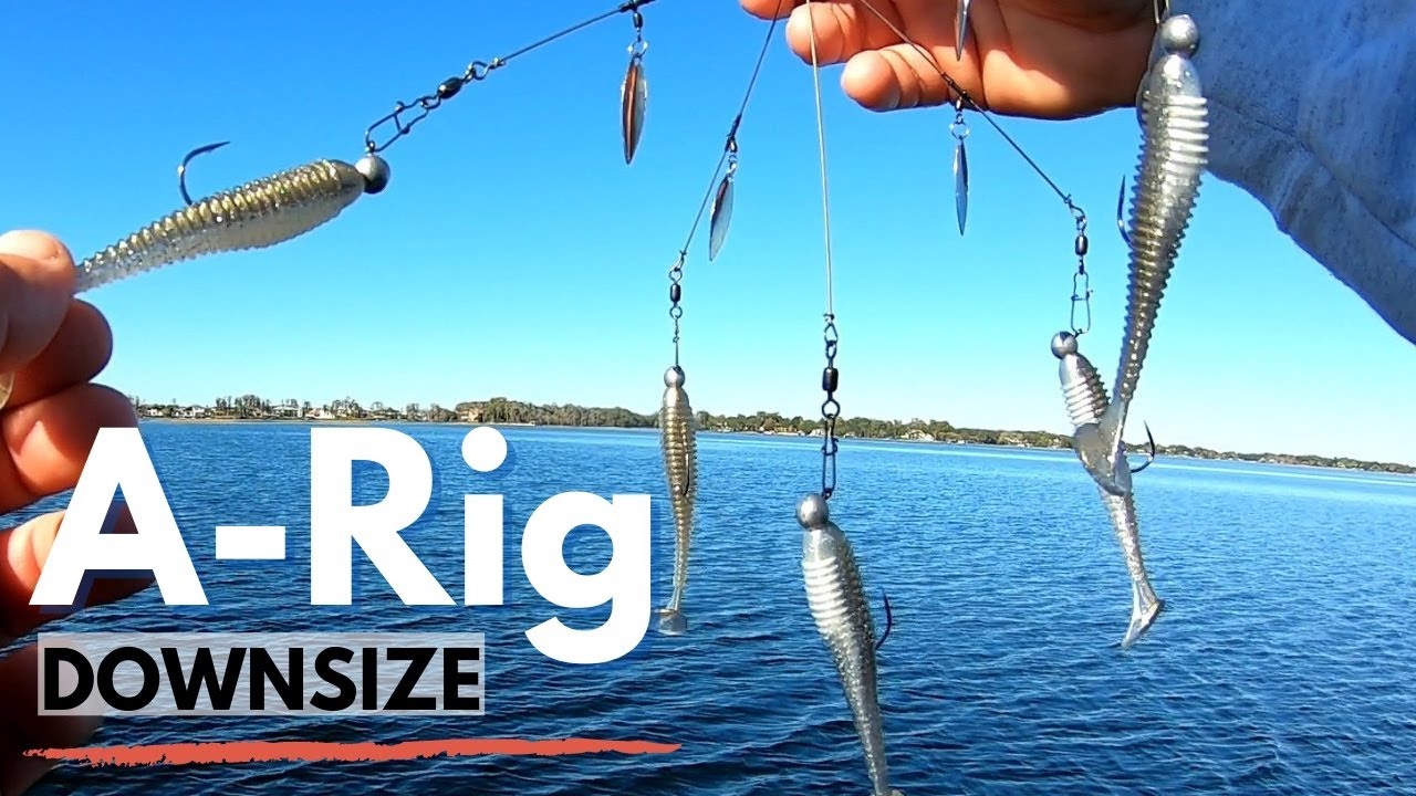 How To Fish an Alabama Rig | Downsize A-Rig to Catch More Bass