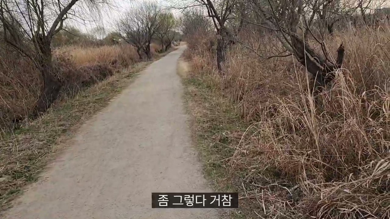 저출산과 대책 국재결혼과 나이차이는 자연스러운것이다 한국의 가스라이팅이 문재다