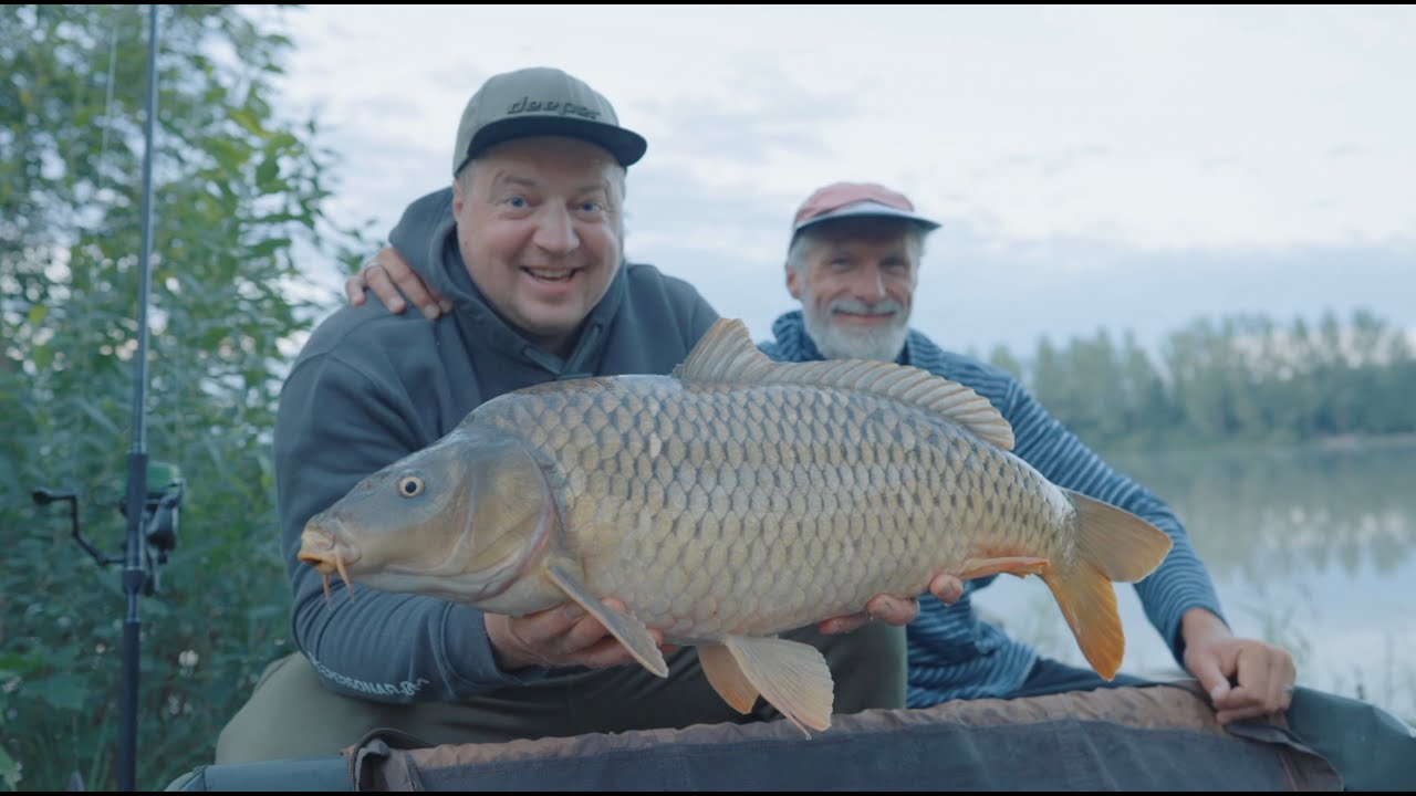 Šiandien kimba. Tauragės karpiai
