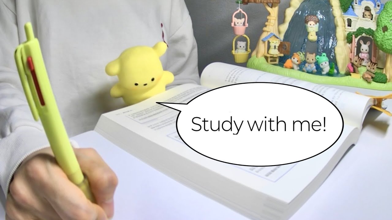 *⋆꒰ঌ 26.01.13 ໒꒱⋆* 스터디윗미 | STUDY WITH ME | 한번 시작한 이상, 끝장을 보자