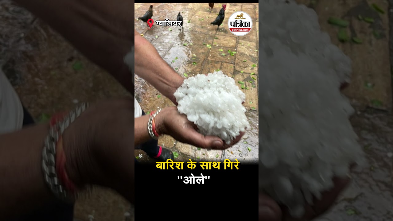 Gwalior में बिगड़ा मौसम  #madhyapradesh #gwalior #weathernews #weatherupdate #weather